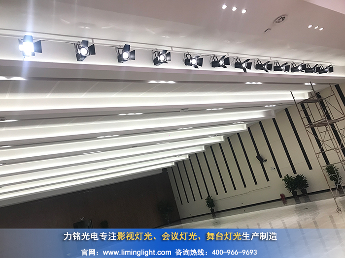 天津濱港電鍍產(chǎn)業(yè)基地會議室面光